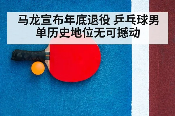 ping pong racket